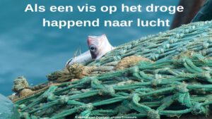 beUnited Blog Als een vis op het droge happend naar lucht Eveline van Dongen