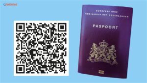 beUnited Stuk Paspoort