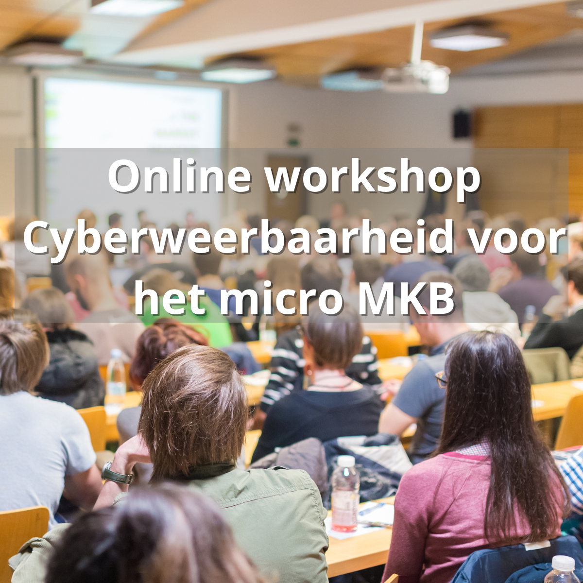 Cyberweerbaarheid voor het micro MKB